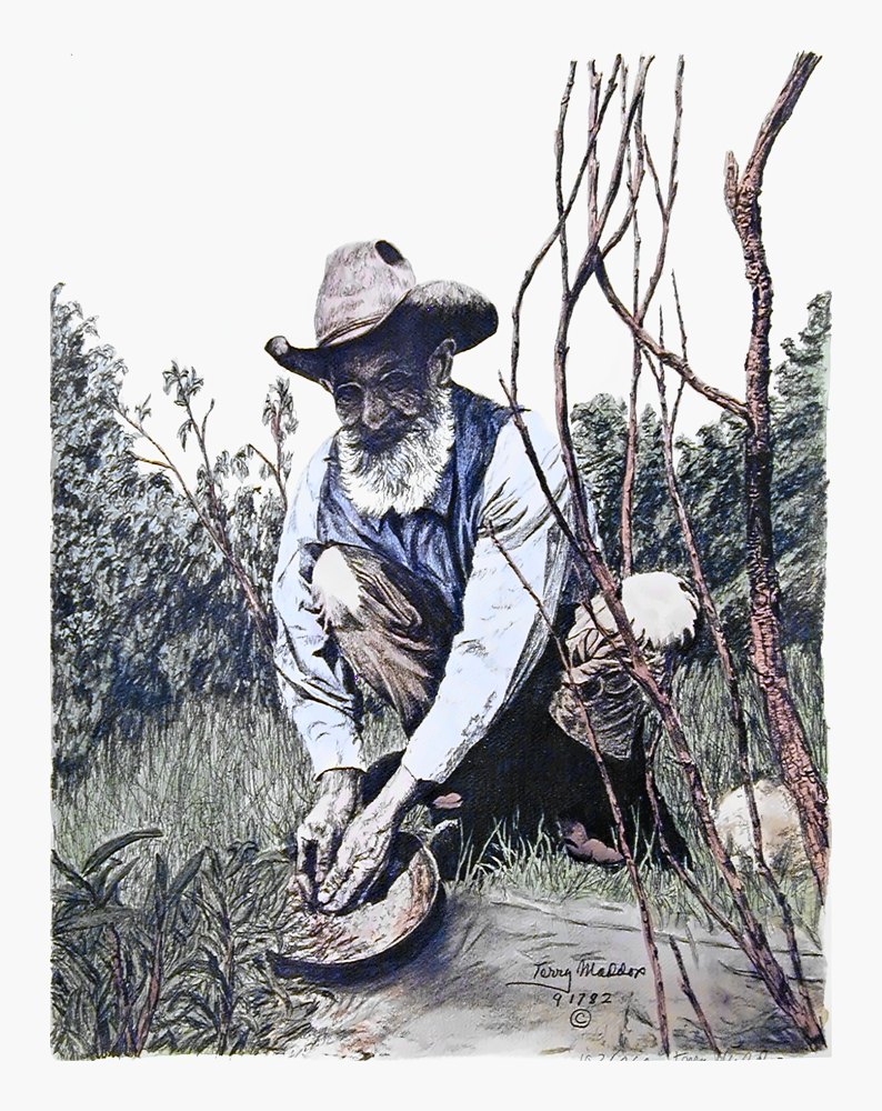Pencil drawing of Gold Panner by Terry Maddox