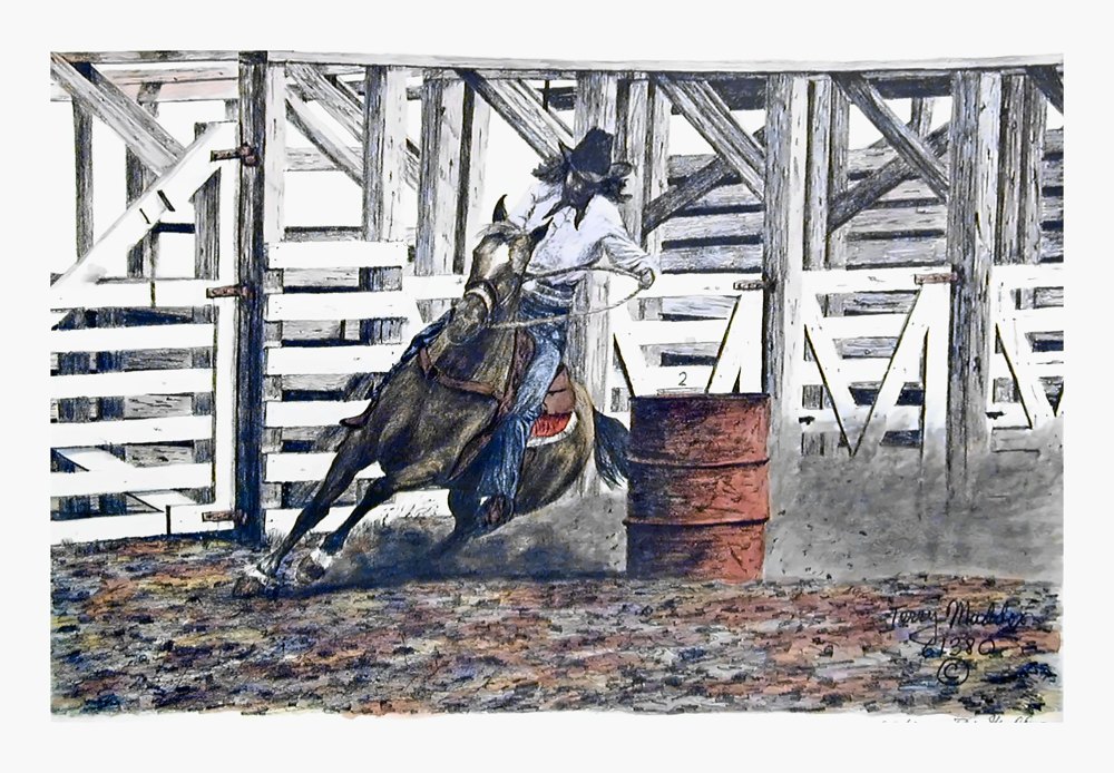 Pencil drawing of Barrel Racer by Terry Maddox