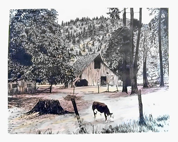 Pencil drawing of Barn and Steer by Terry Maddox