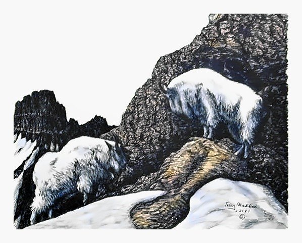 Pencil drawing of King of the Mountains by Terry Maddox