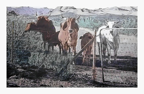 Pencil drawing of Texas Rangers by Terry Maddox