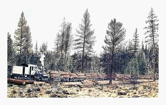 Pencil drawing of Logging Train by Terry Maddox
