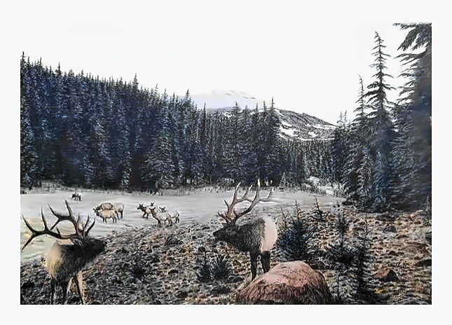 Pencil drawing of Wilderness Challenge by Terry Maddox