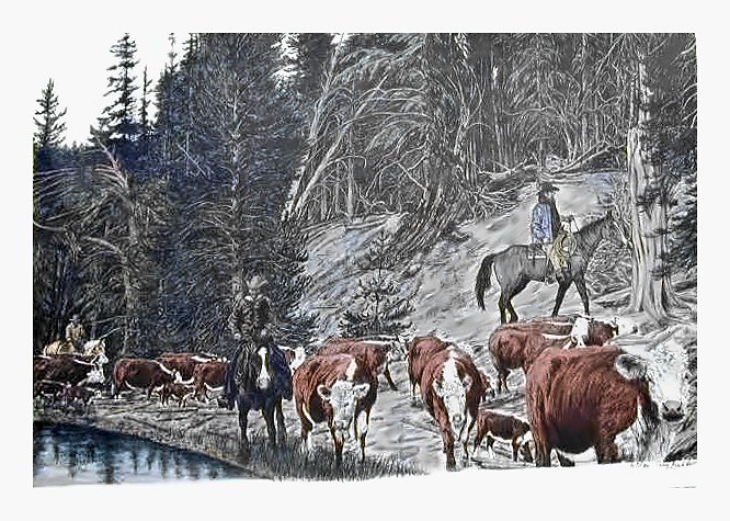 Pencil drawing of Cattle Drive by Terry Maddox