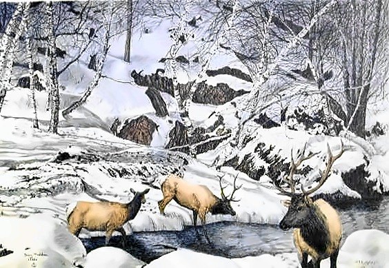 Pencil drawing of Winter Crossing by Terry Maddox