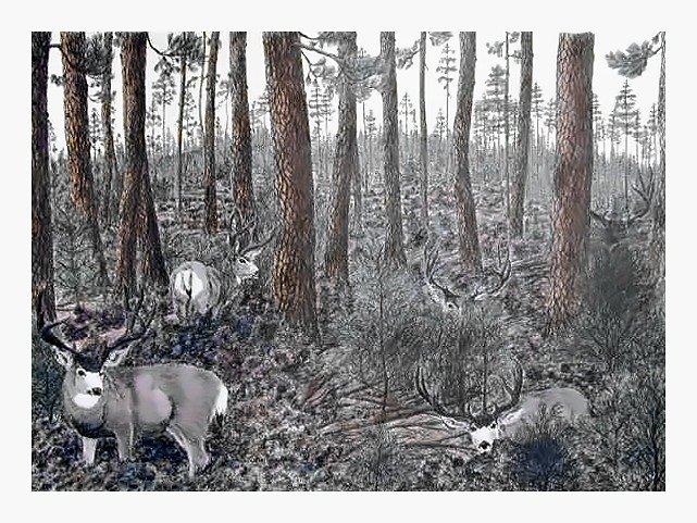 Pencil drawing of The Day Before by Terry Maddox