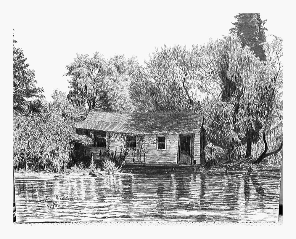 Pencil drawing of Louisiana Swamp Shack by Terry Maddox