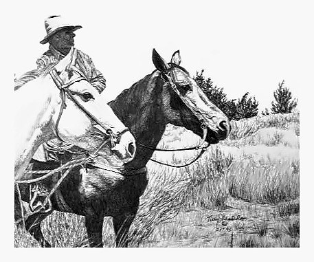Pencil drawing of Looking for Strays, Cowboys by Terry Maddox