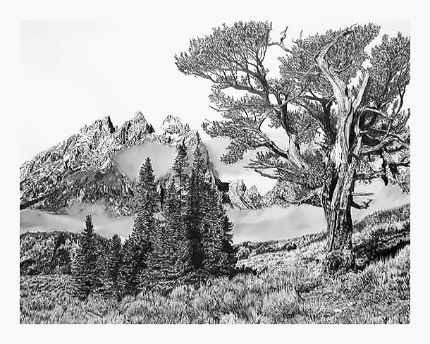 Pencil drawing of Grand Tetons by Terry Maddox